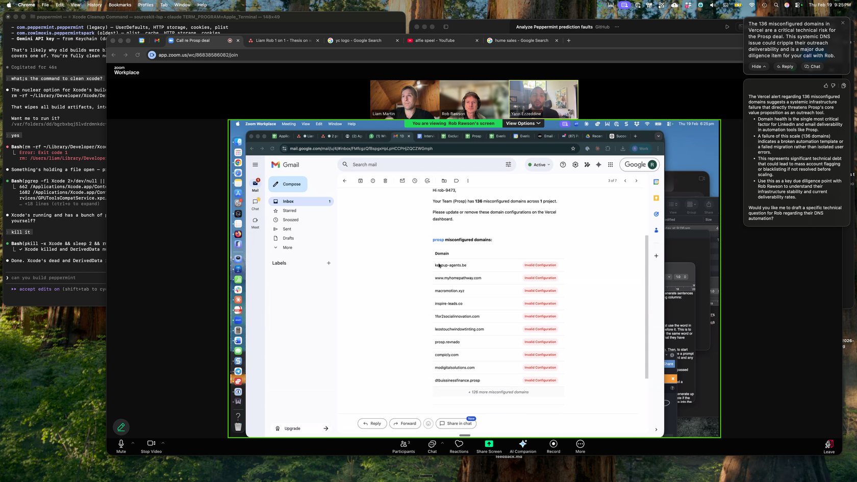 Zoom call with a Gmail domain-issue thread and Peppermint guidance