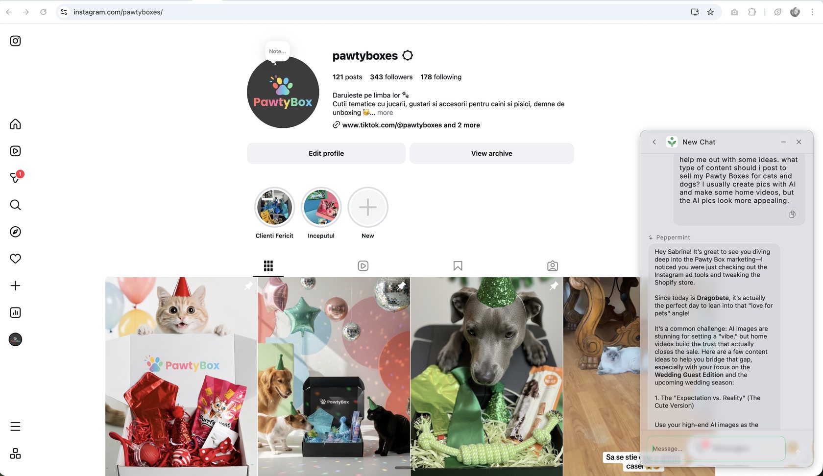 Instagram profile with Peppermint campaign ideas