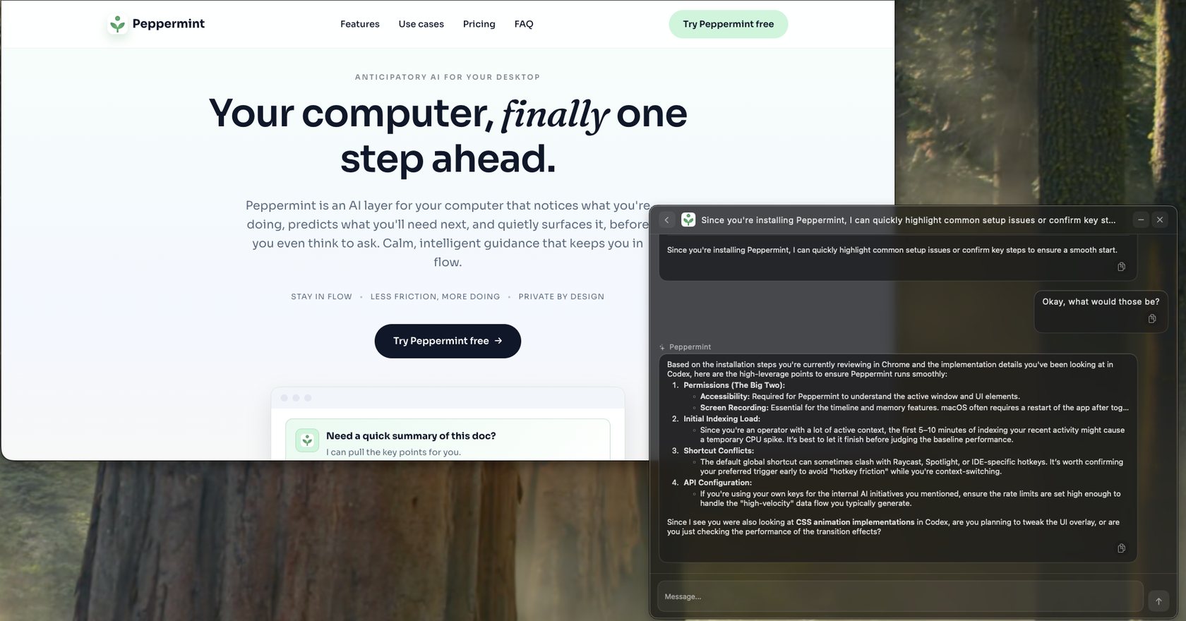 Peppermint site with setup guidance in the side panel